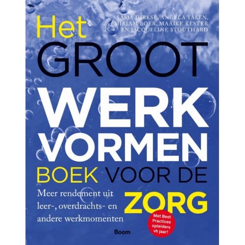 Het Groot Werkvormenboek Voor De Zorg - Sasja Dirkse
