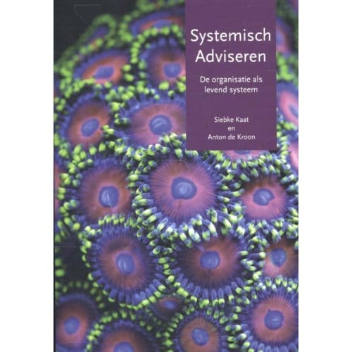 Systemisch Adviseren - Siebke Kaat