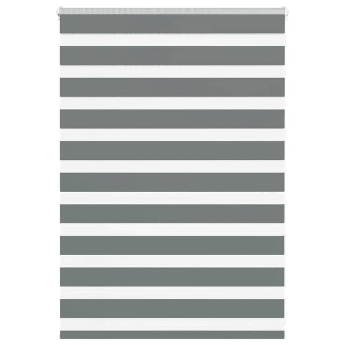 vidaXL - Zebra - rolgordijn - 100x100 - cm - stofbreedte - 95,9 - cm - donkergrijs
