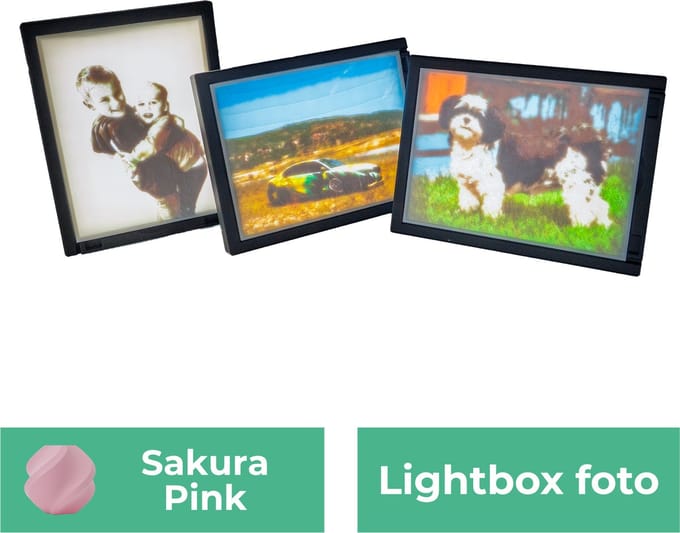 Lightbox foto - Sakura Roze