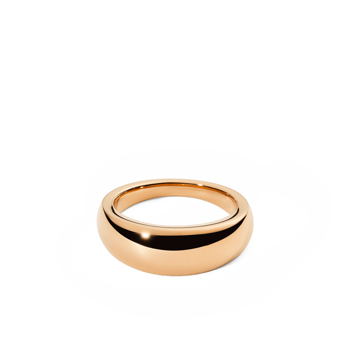 Daniel Wellington DW Flow 48 Rose Gold