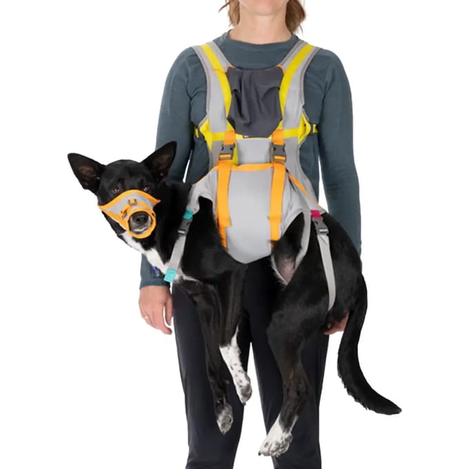 Reddingsvest voor honden Ruffwear BackTrak