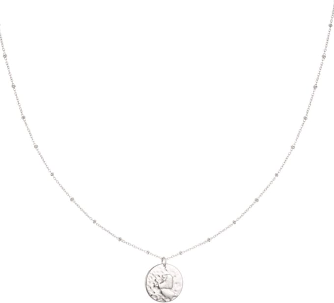Yehwang - Ketting Sterrenbeeld leeuw - Constellation - Leo - Stainless Steel