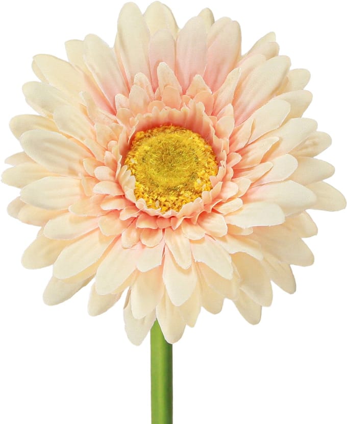 Kunstmatige gerbera's, abrikooskleur, 47 cm, 6 stuks, 6 Stück