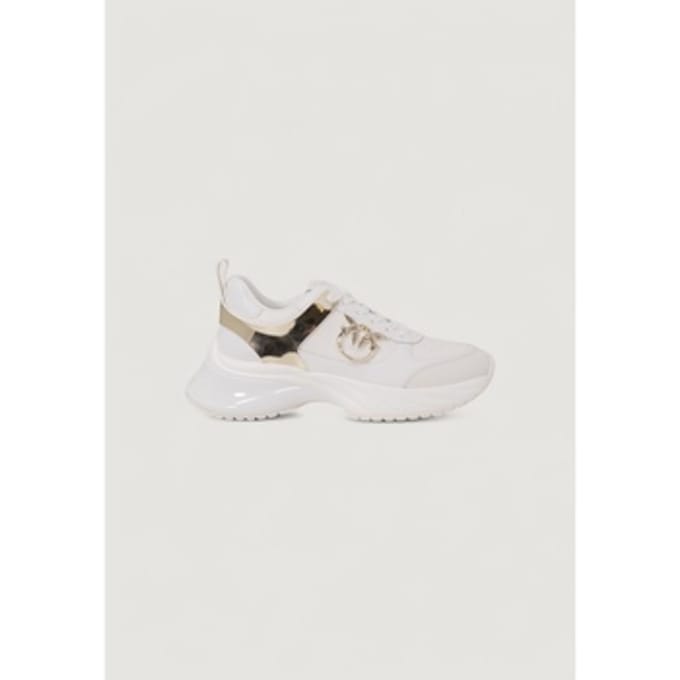 Lage Sneakers Pinko ARIEL 02 - TUMBLED SS0027P025