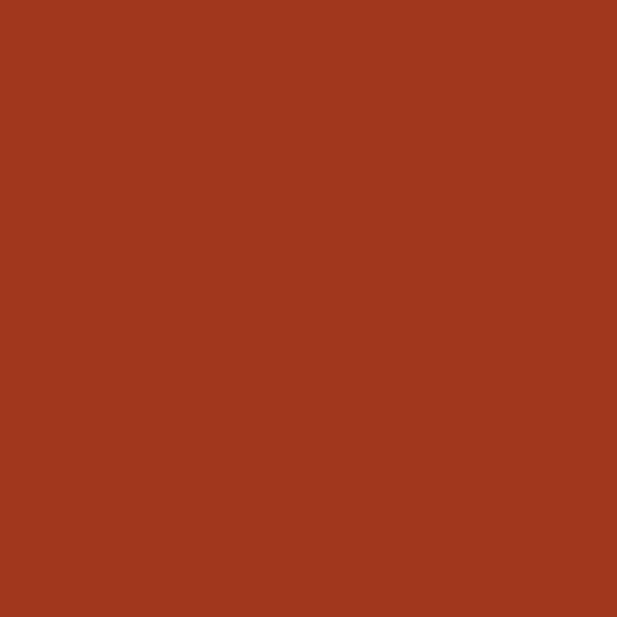 Rembrandt Olieverf Tube 40 ml Engelsrood 339