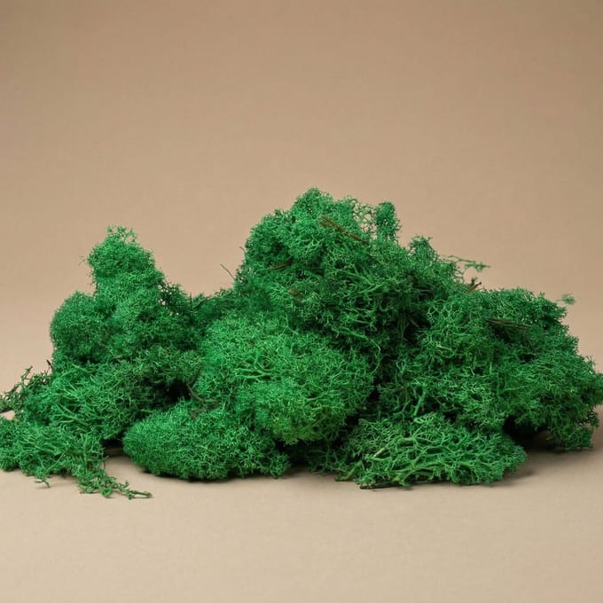 Decoratief rendiermos - Donkergroen - 1 zak - 50 g