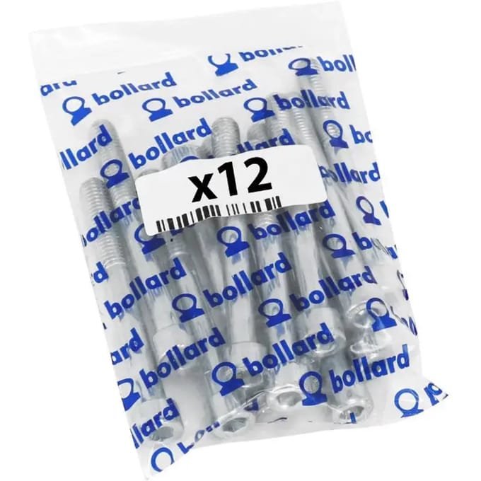 Set van 12 inbusschroeven P2R