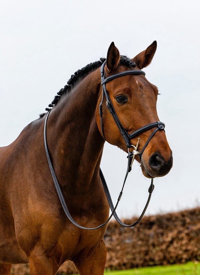Trust Geneva Combined Noseband Hoofdstel Full Zwart/Zilver