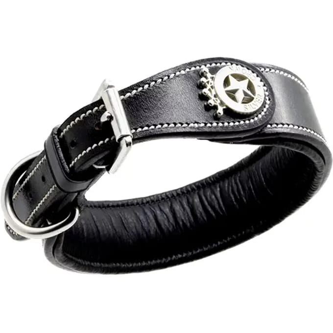 Hondenhalsband Silver Crown Carlotta