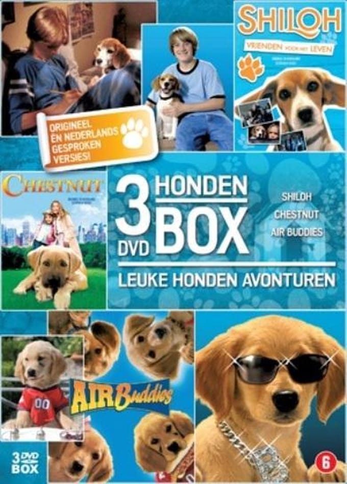 Hondenbox