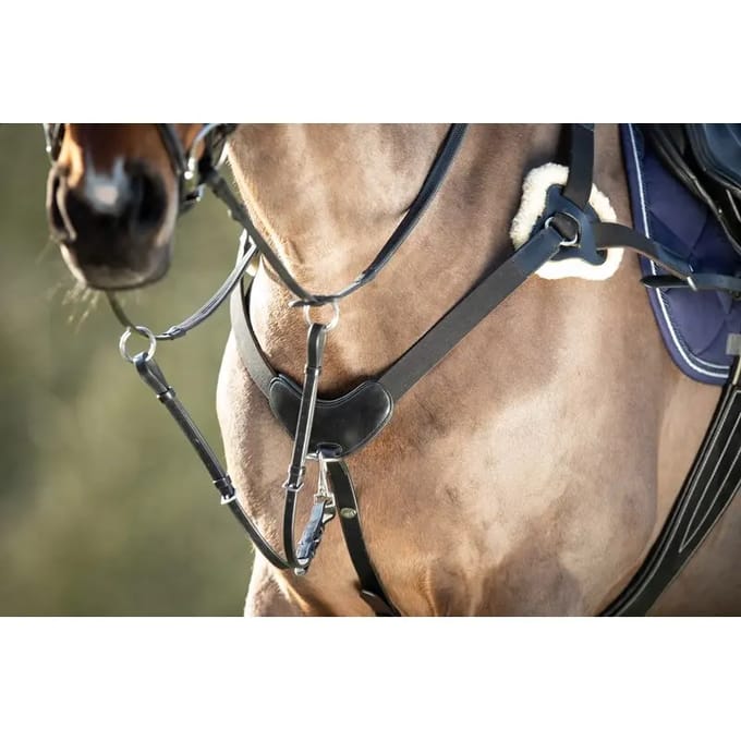 Jachthalsband voor paarden HFI 5 Points