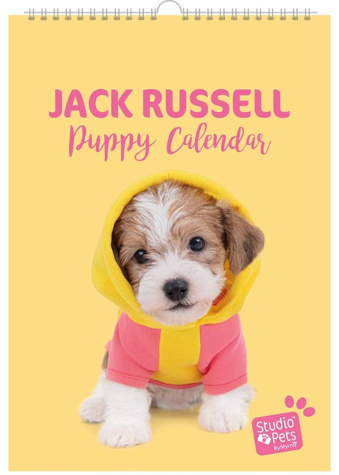 Studio Pets® verjaardag kalender A4 – Jack Russell honden maandplanner / kalender