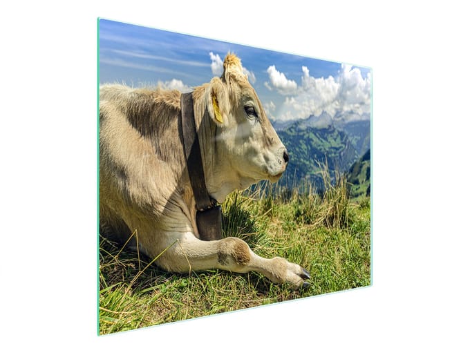 TMK ArtDeko - Snijplank Glas - 52x30 cm - Koe - UV-Print