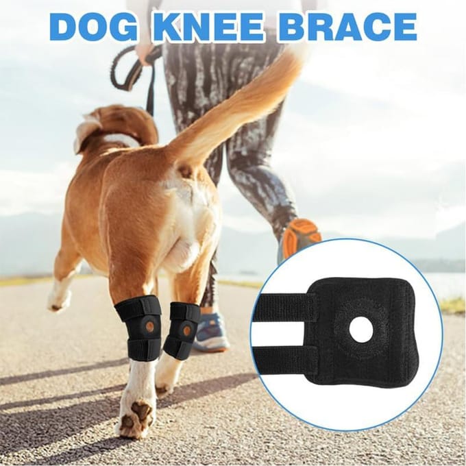 Genouillère pour chien adaptée à la récupération de la perte de stabilité causée par black