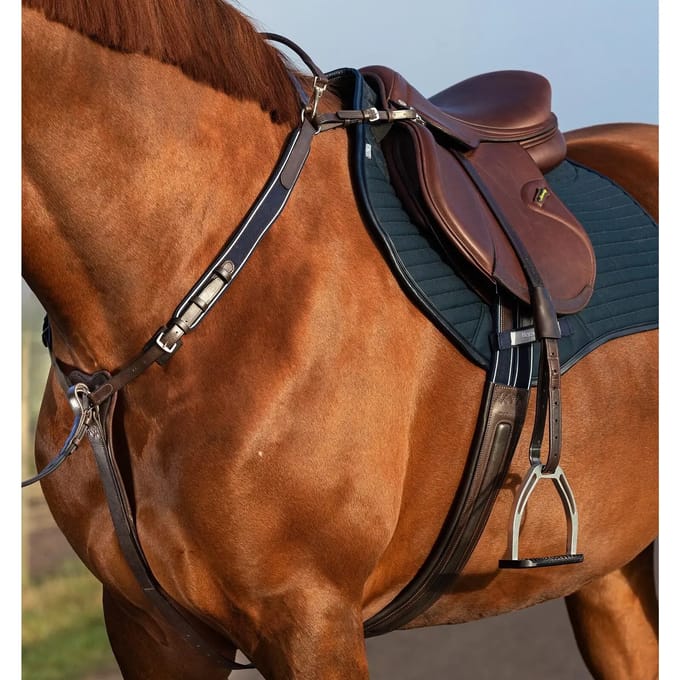 Jachthalsband voor paarden Horseware Micklem