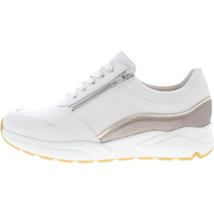 Lage Sneakers Solidus Kea