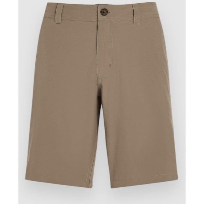 O'Neill Hybrid Chino 19" Korte Broek bruin