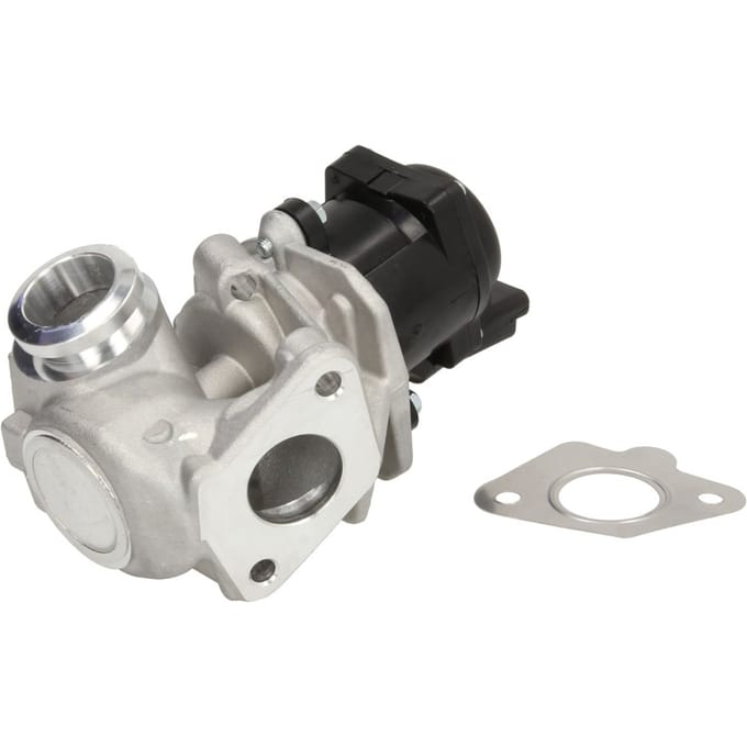 EGR-klep DELPHI EG10507-12B1