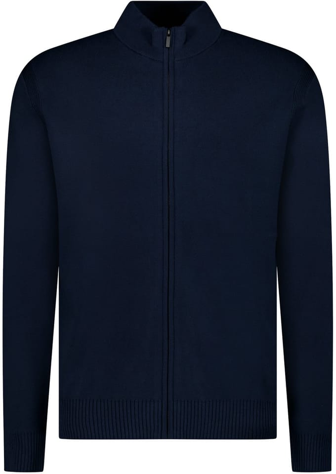 Cars Jeans Vest Taynor - Heren