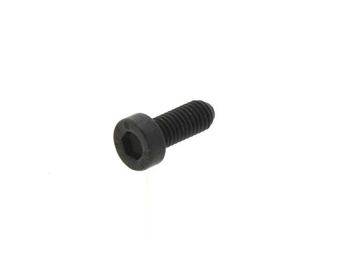 Screw