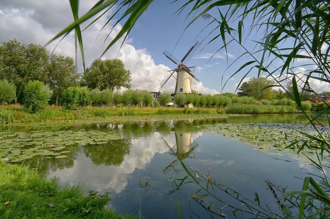 fotobehang molen Zuiderpark Rotterdam 450 x 260 cm - € 295,--