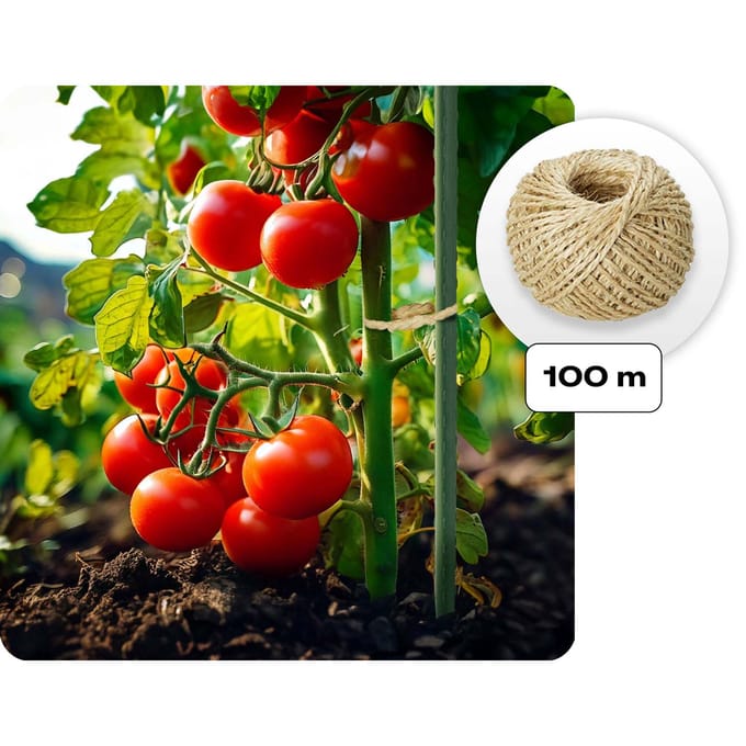 Tuintunnel 2x3m 6m2 Plonos