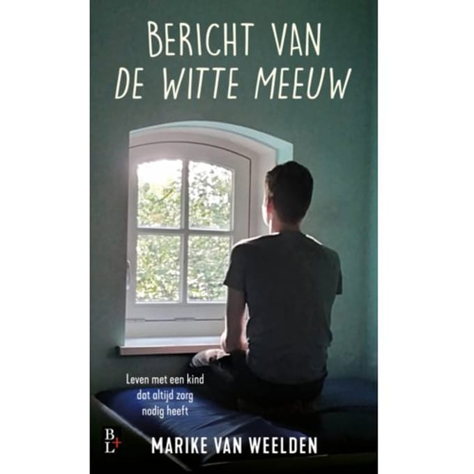 Bericht Van De Witte Meeuw - Marike van Weelden