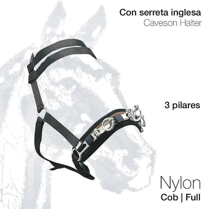 Paardenbox Zaldi 4523PE