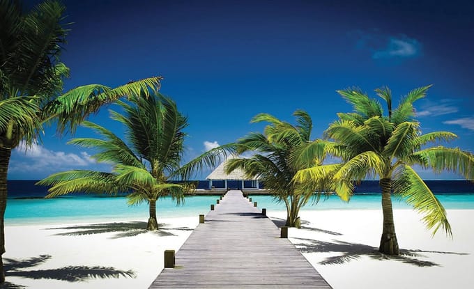 Beach Path Sea Sand Palms  Photo Wallcovering