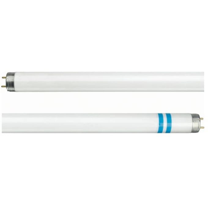 Philips G13 T8 tl-lamp met splinterbescherming