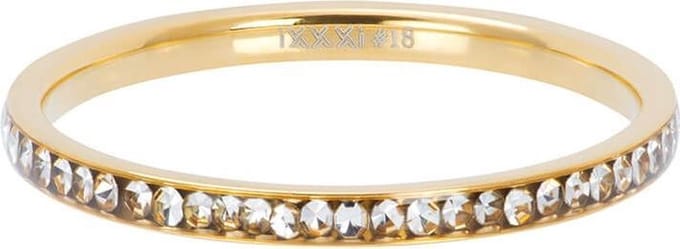 iXXXi Vulring Zirconia Crystal Goud | Maat 16