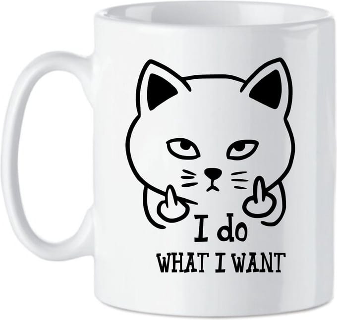 Koffie beker -thee mok Tekst I do what I want - grappige kat