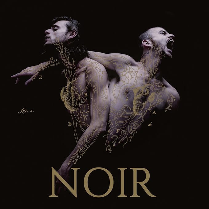 Heymoonshaker - Noir (CD)