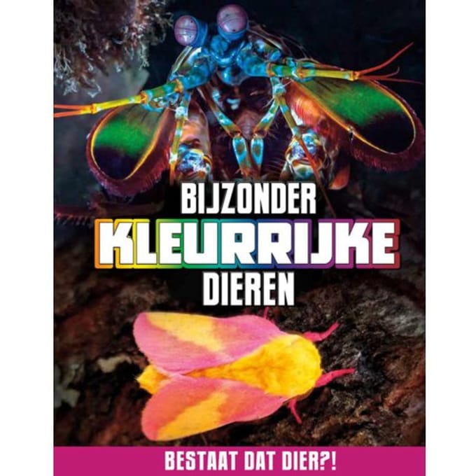 Bijzonder Kleurrijke Dieren - Bestaat Dat Dier?! - Megan Peterson