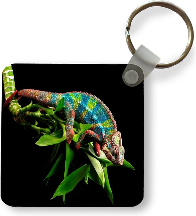 Sleutelhanger - Uitdeelcadeautjes - Kameleon met rode poten - Plastic
