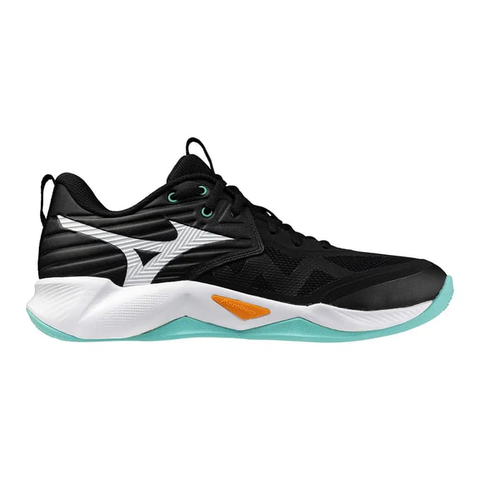Mizuno Wave Momentum Pro Indoorschoenen Heren