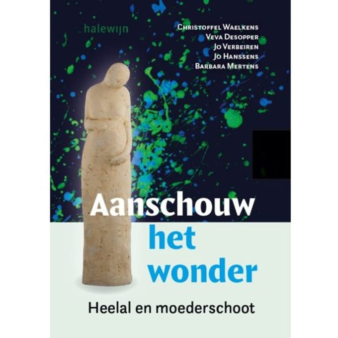 Aanschouw Het Wonder - Christoffel Waelkens