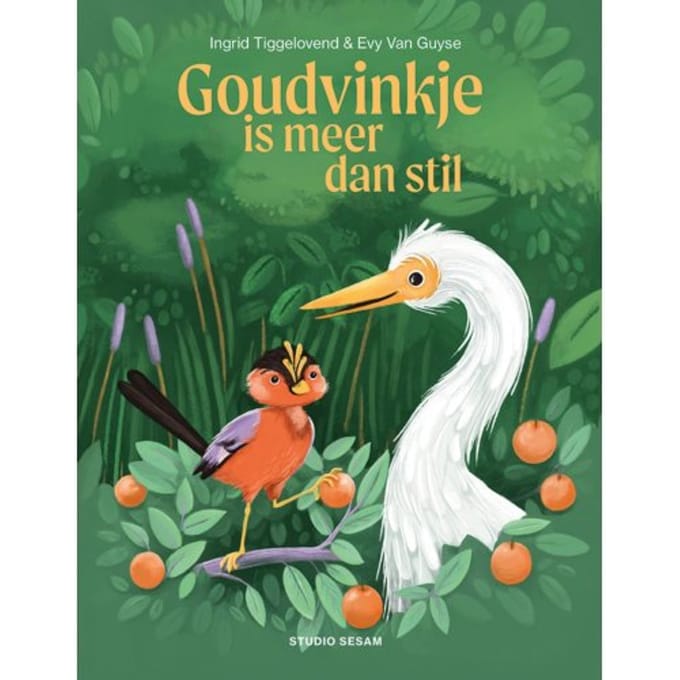Goudvinkje Is Meer Dan Stil - Ingrid Tiggelovend