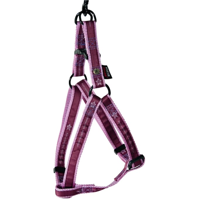 Hondentuig Martin Sellier Pets Connecti