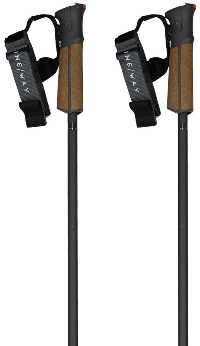 Fischer Gt 13 Comp Mag Stokken Bruin 130 cm