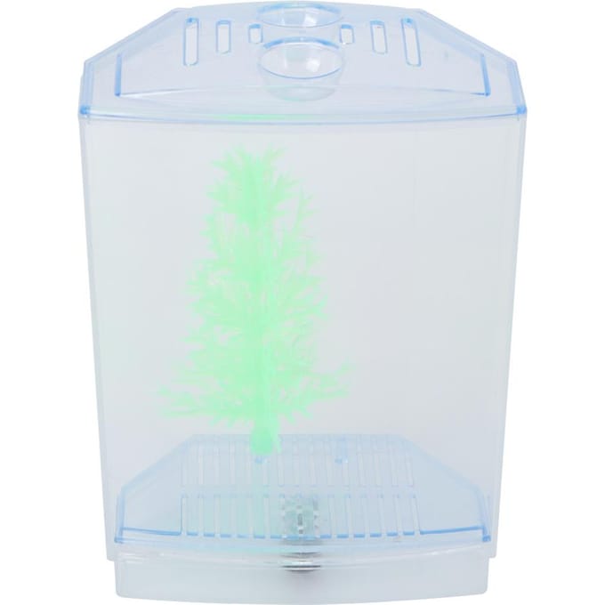 Mini Vis Tank Aquarium Transparant Waterplanten Kweekbak Broedbak Incubator(single) white