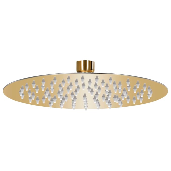 vidaXL - Regendouchekop - rond - 20 - cm - roestvrij - staal - goudkleurig