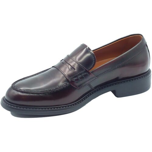 Mocassins NeroGiardini I601250U Cordovan Col.