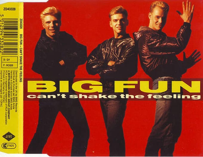 Can't shake the feeling von Big Fun