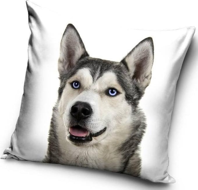 Husky Hond - Sierkussen Kussen 40 x 40 cm inclusief vulling