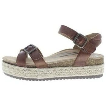 Sandalen met sleehak Aetrex Paula Platform