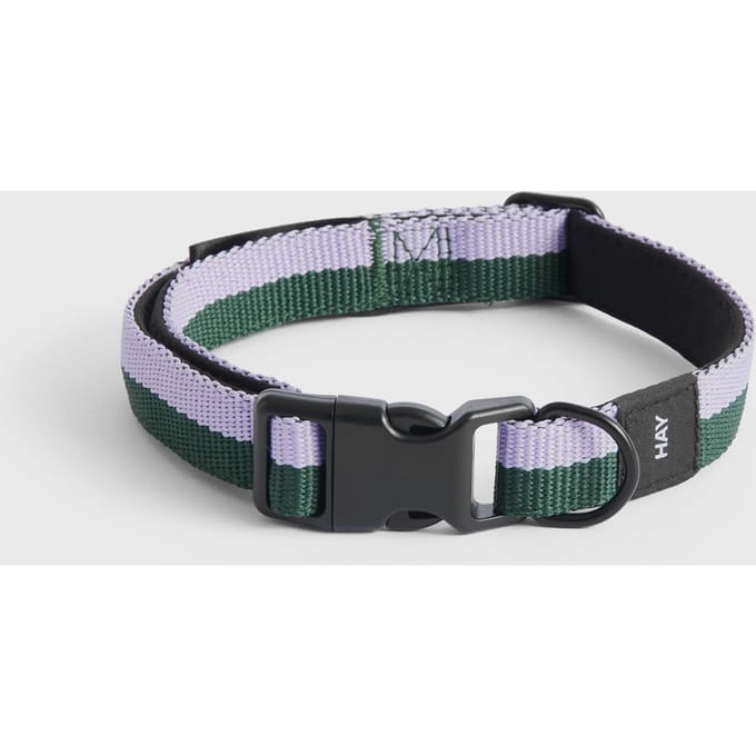 Dogs Collar Flat S/M