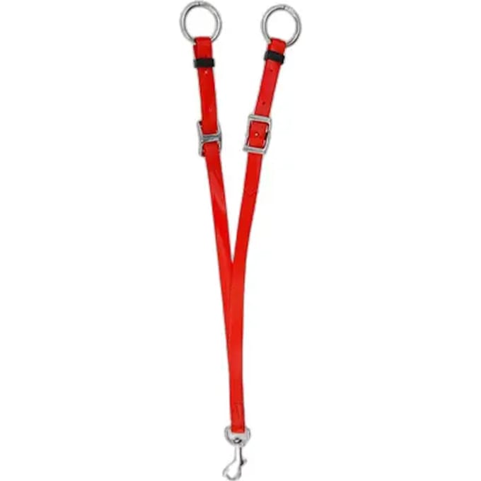 Martingale voor wandelpaard Lexhis Biothane