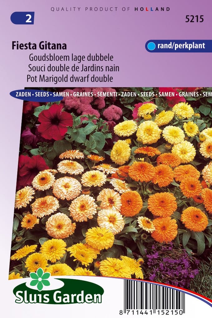 Sluis Garden - Goudsbloem Fiesta Gitana mix